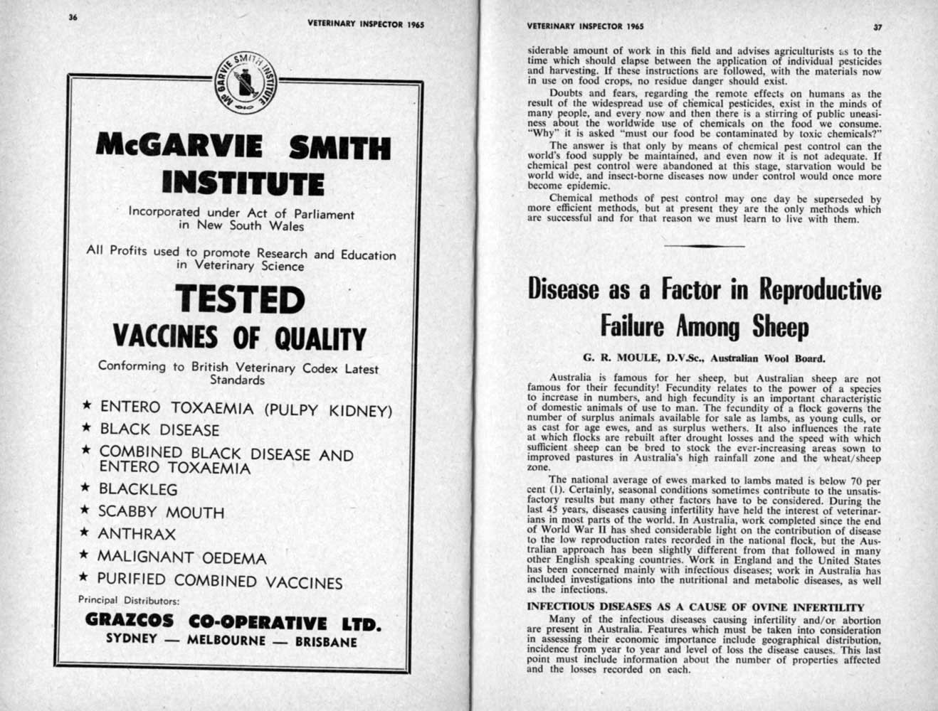 1965 Page 36 37